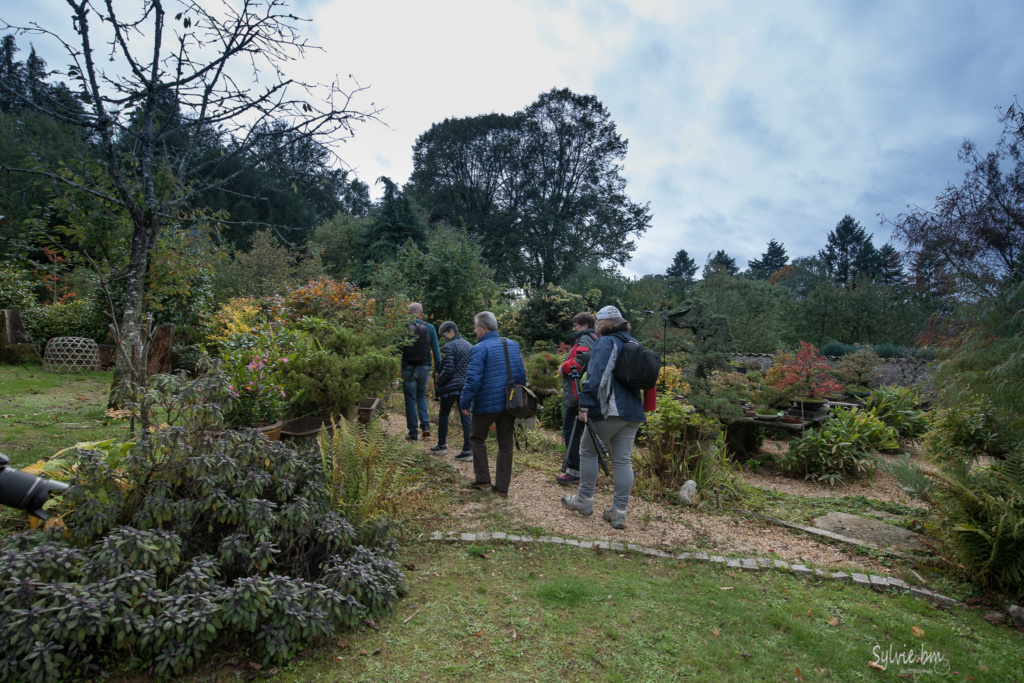 You are currently viewing Le jardin japonais de Francis