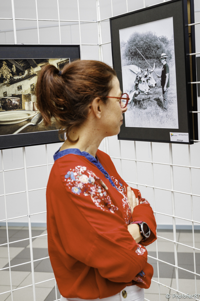 You are currently viewing « La Ruralité » au Palais/Vienne